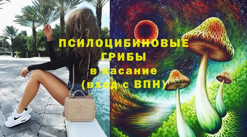 Галлюциногенные грибы Cubensis  как найти закладки  кракен маркетплейс  Кашира 