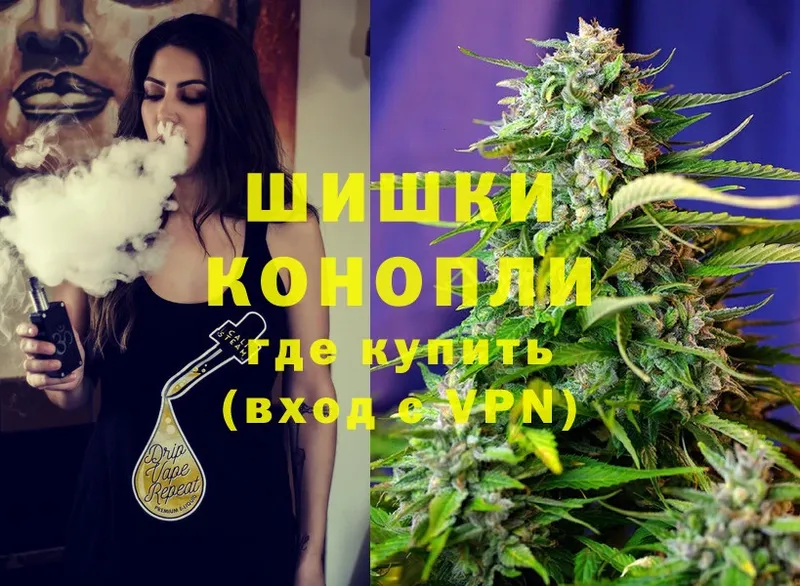 Канабис OG Kush  Кашира 